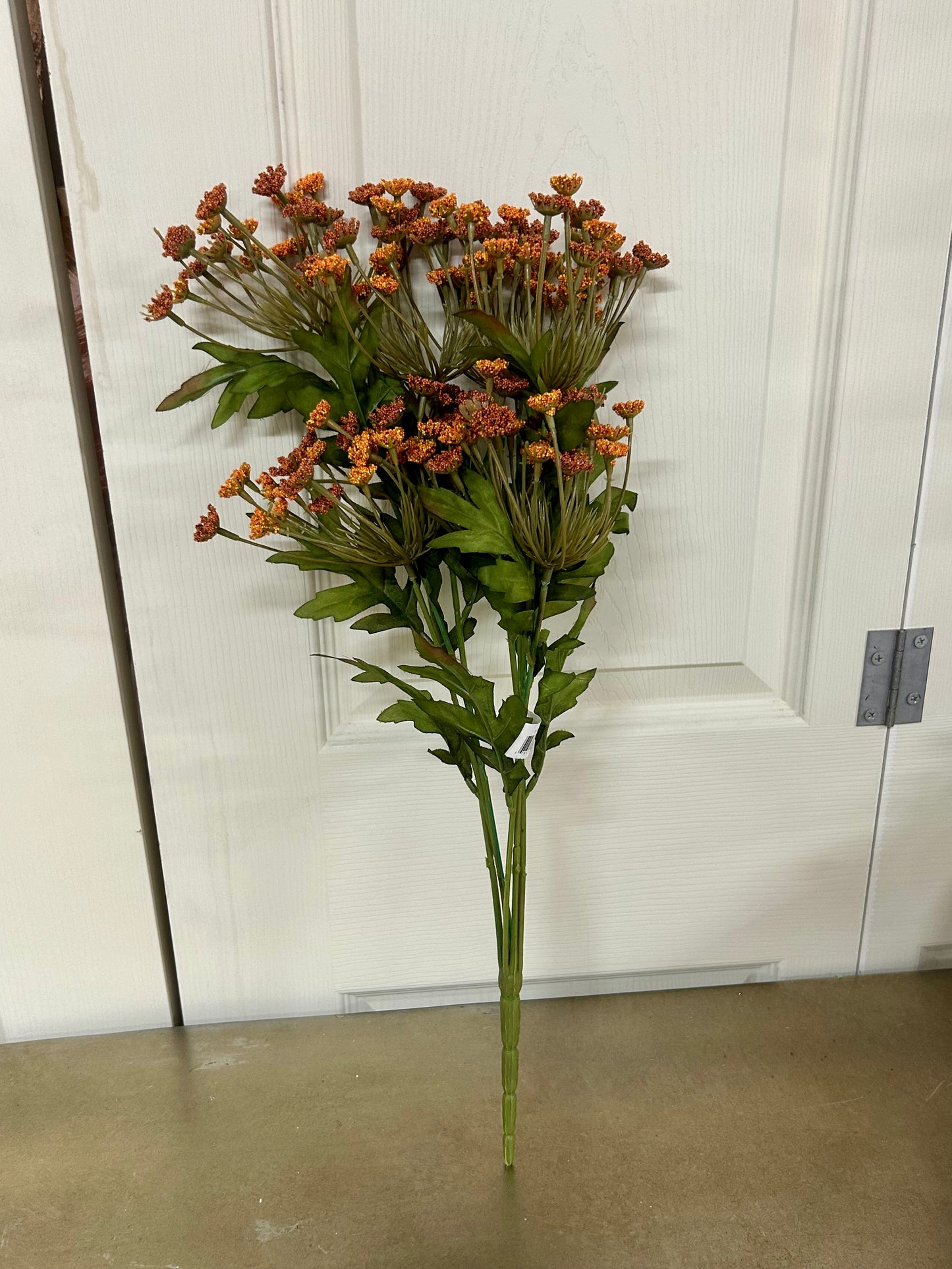 21 Inch Rust Queen Ann Lace Bush