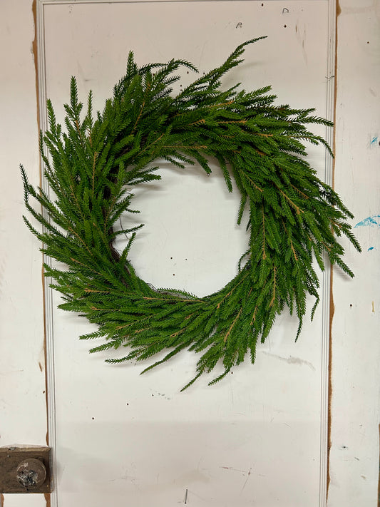 22 Inch Norfolk Pine Wreath