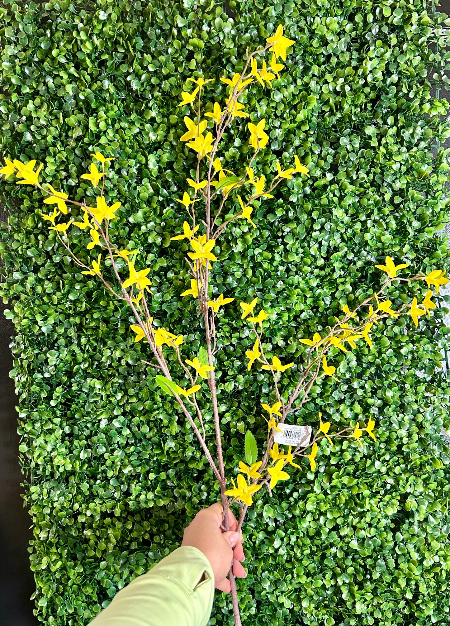 38 Inch Yellow Forsythia Spray