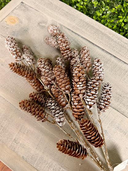 26 Inch Pinecone With Ice Bundle