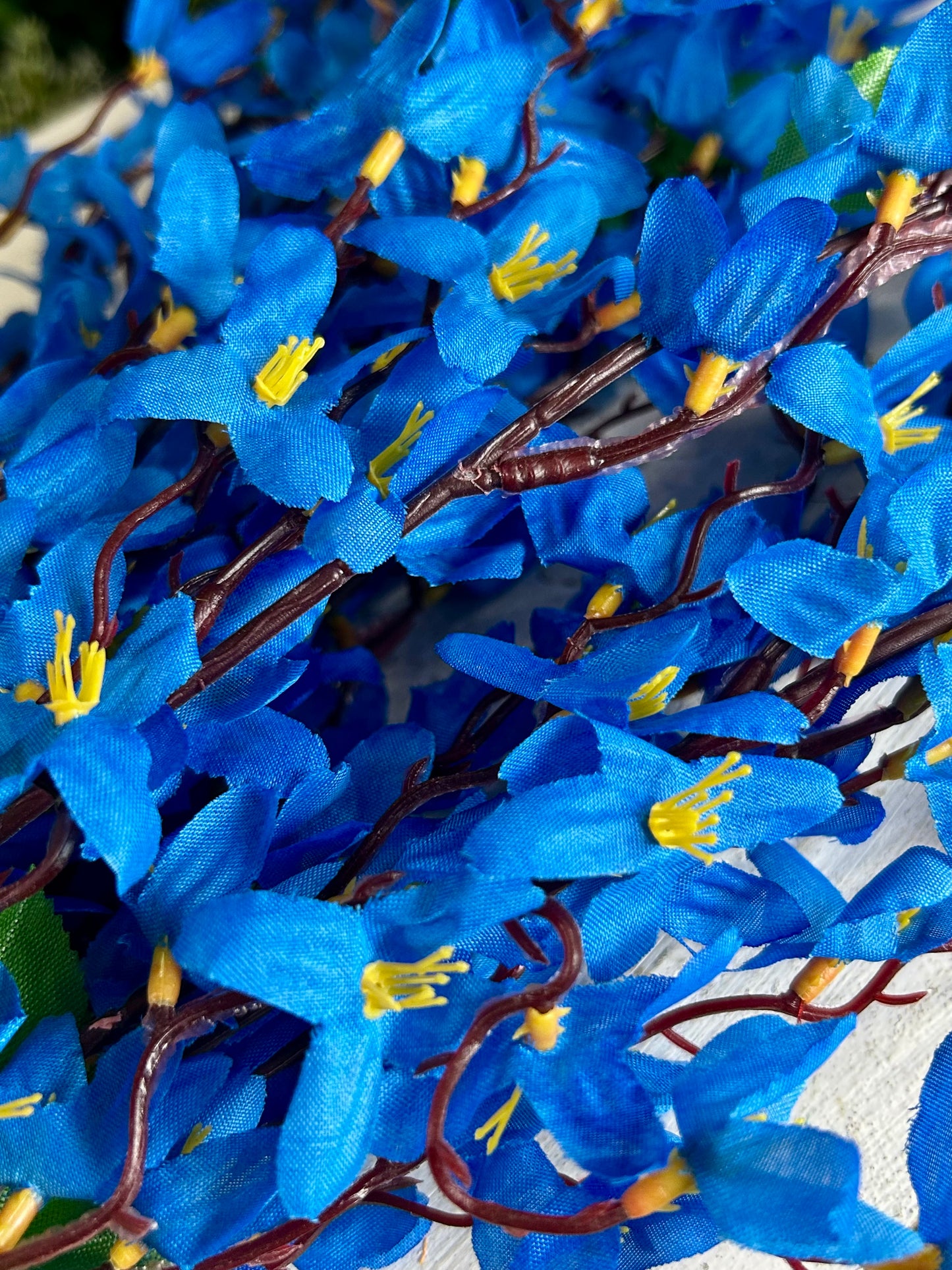 24 Inch Blue Star Blossom Bush