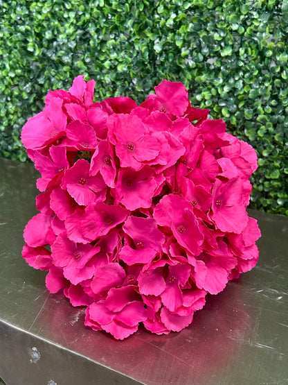 18 Inch Hot Pink Southern Hydrangea Bush