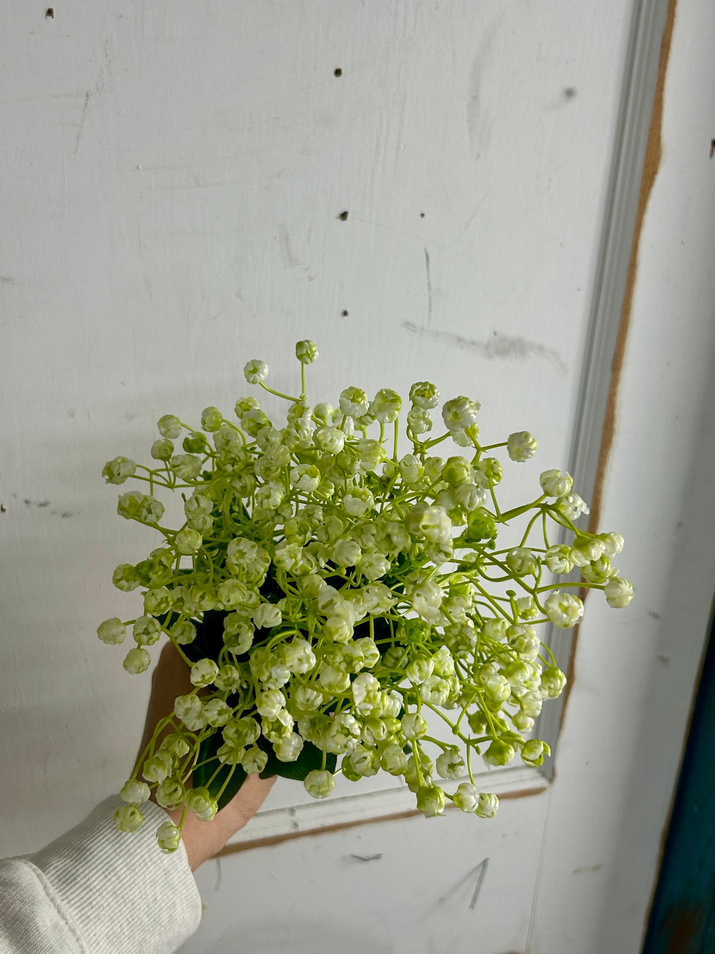 20 Inch Cream And Green Gypso Bush