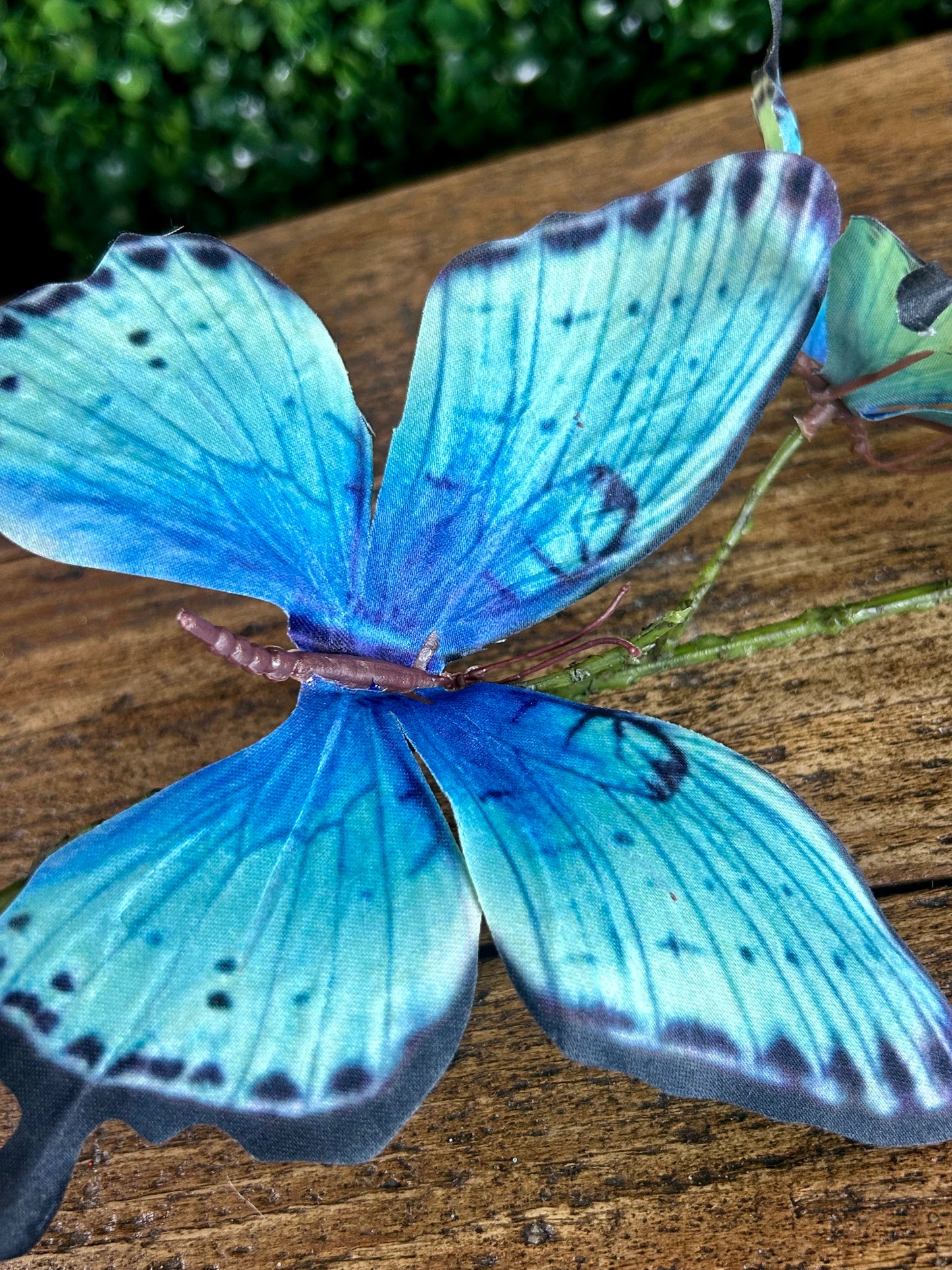 32 Inch Blue And Black Butterfly Spray