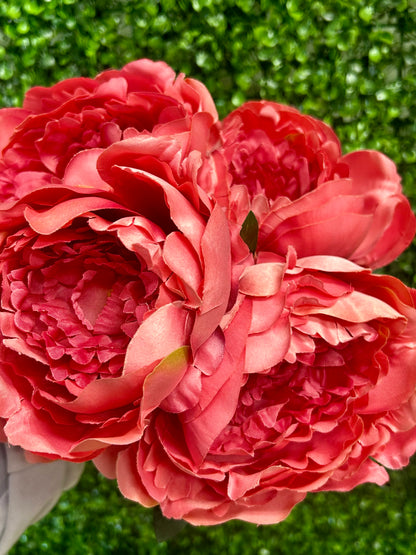 20 Inch Dark Pink Peony Bush