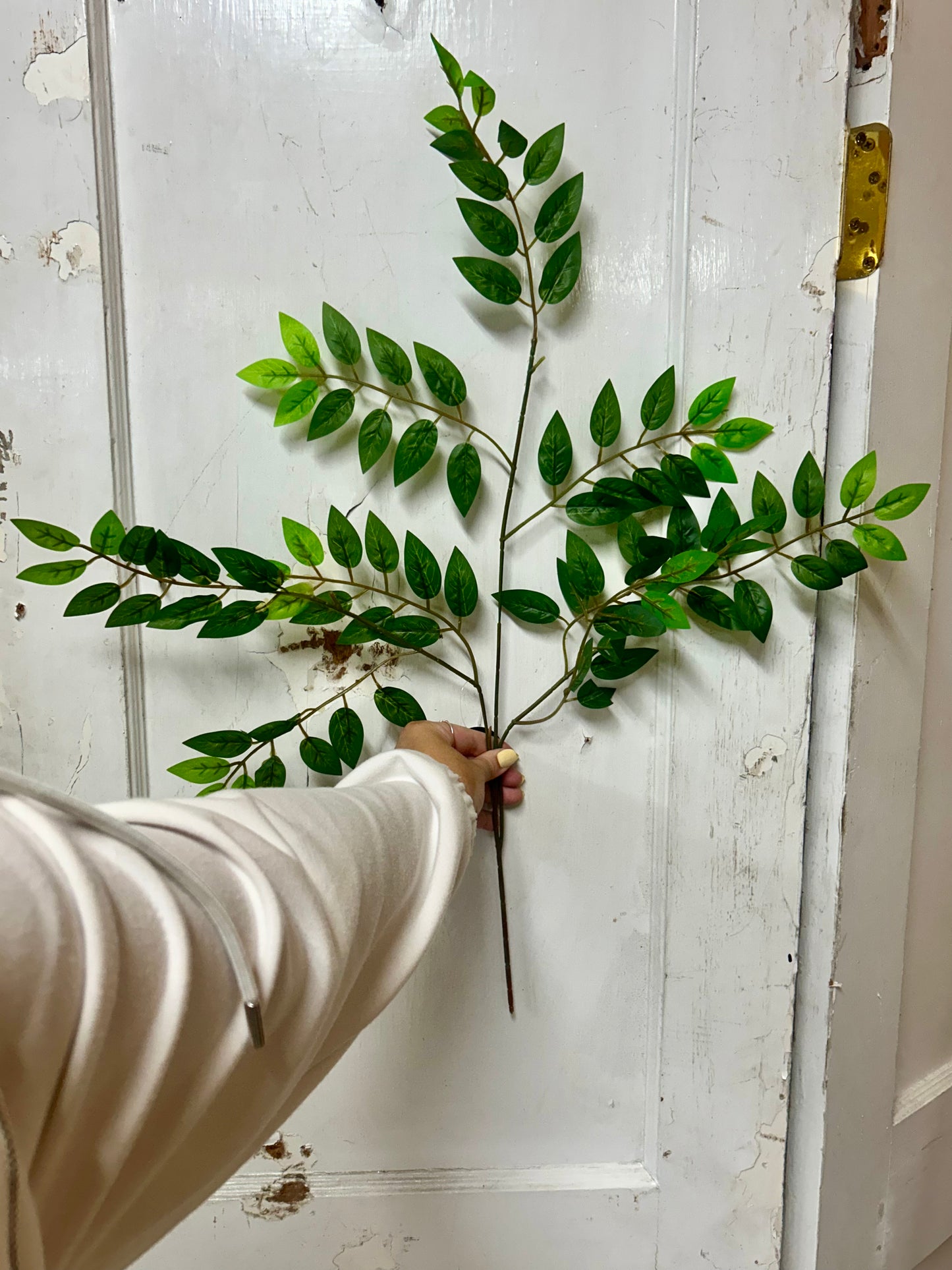 27 Inch Green Smilax Leaves Spray