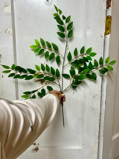 27 Inch Green Smilax Leaves Spray