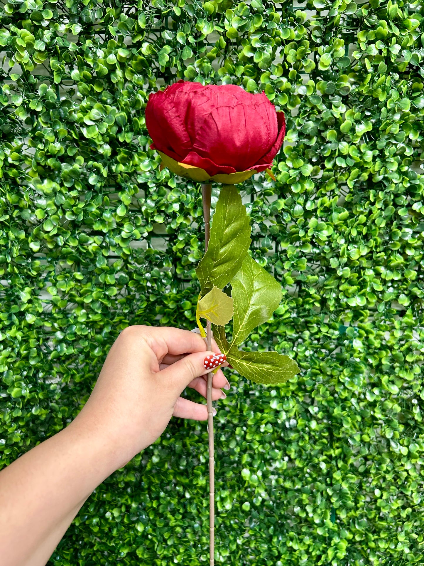 17.5 Inch Red Garden Peony Stem