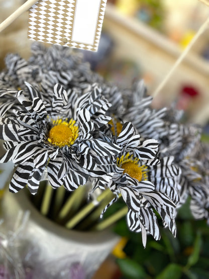 6 Inch Black White Zebra Striped Gerbera Daisy