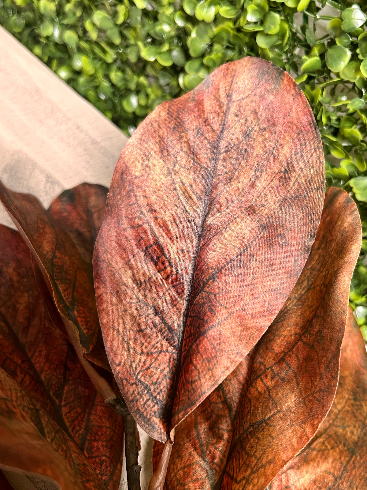 25 Inch Brown Magnolia Leaf Spray