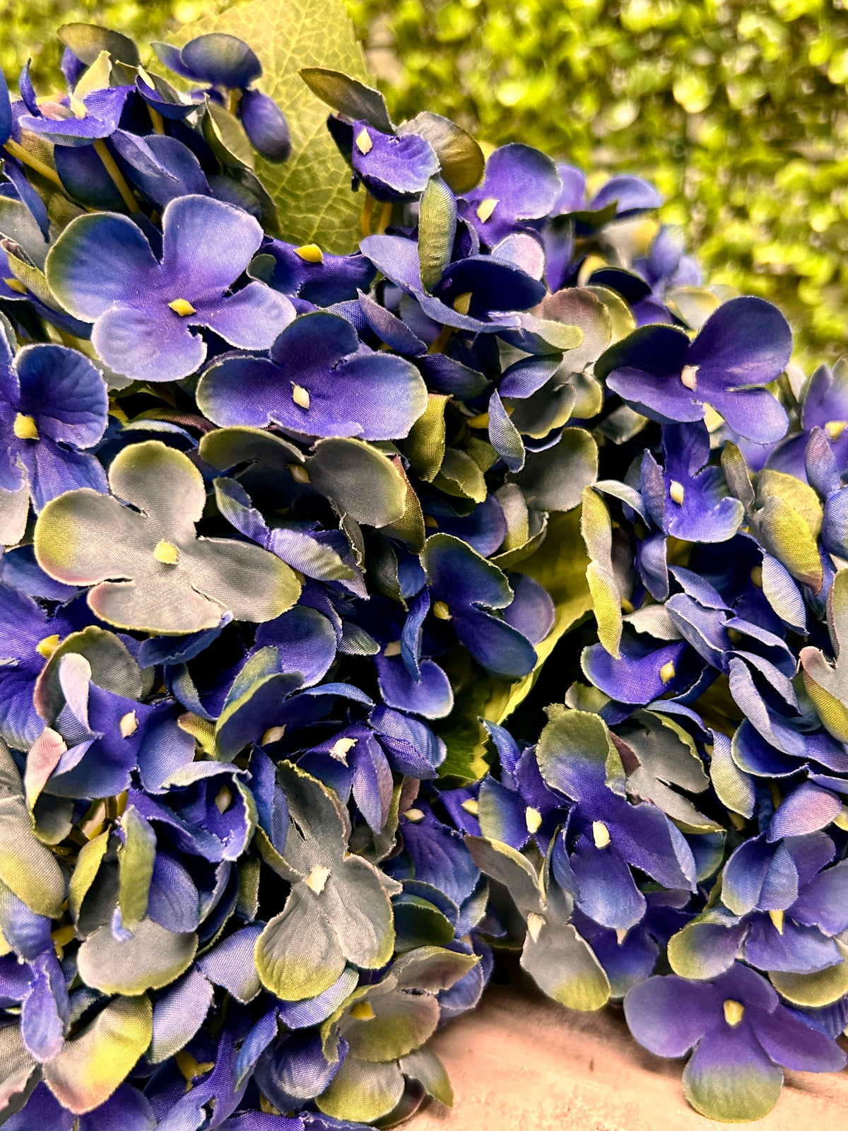 18 Inch Royal Blue Hydrangea Bush