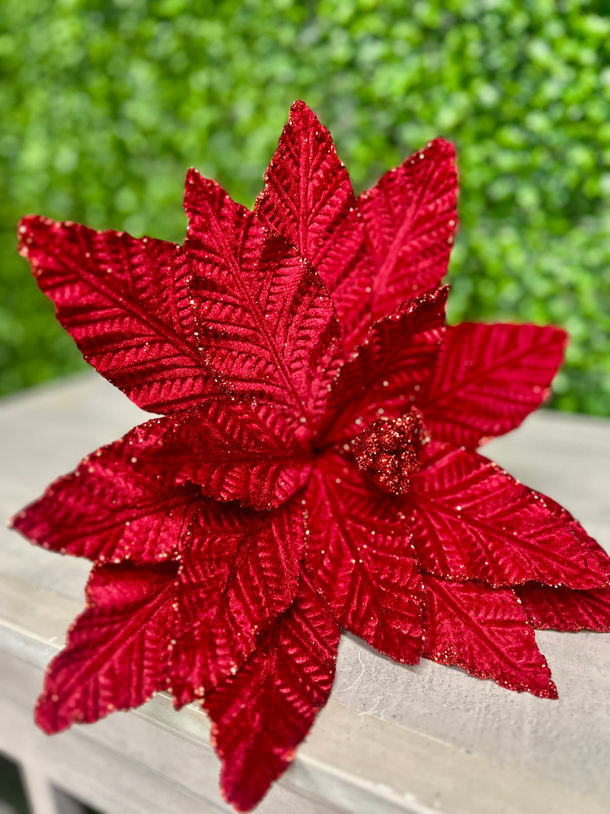 20.5 Inch Cranberry Poinsettia Stem
