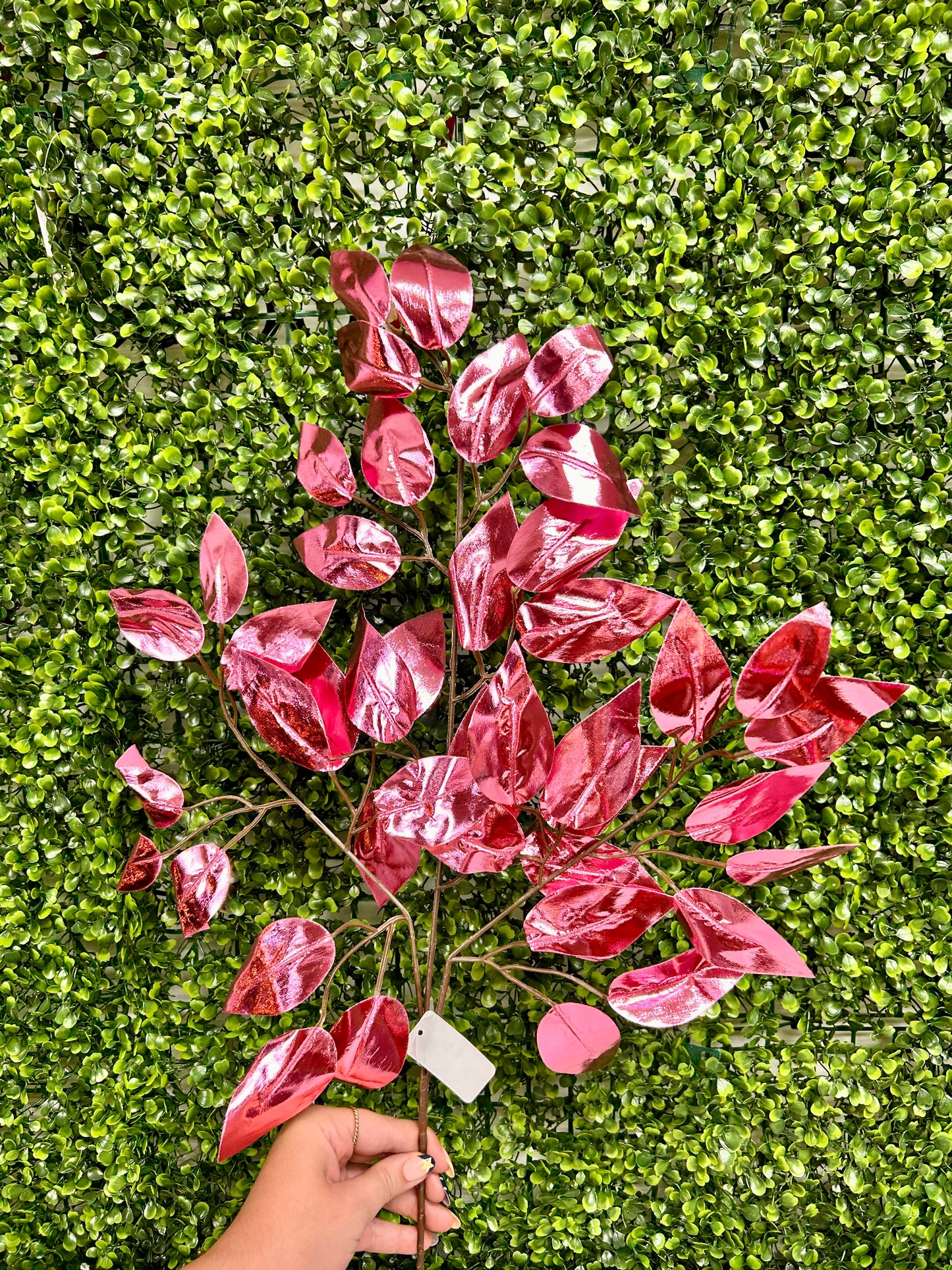 23 Inch Pink Metallic Ficus Spray