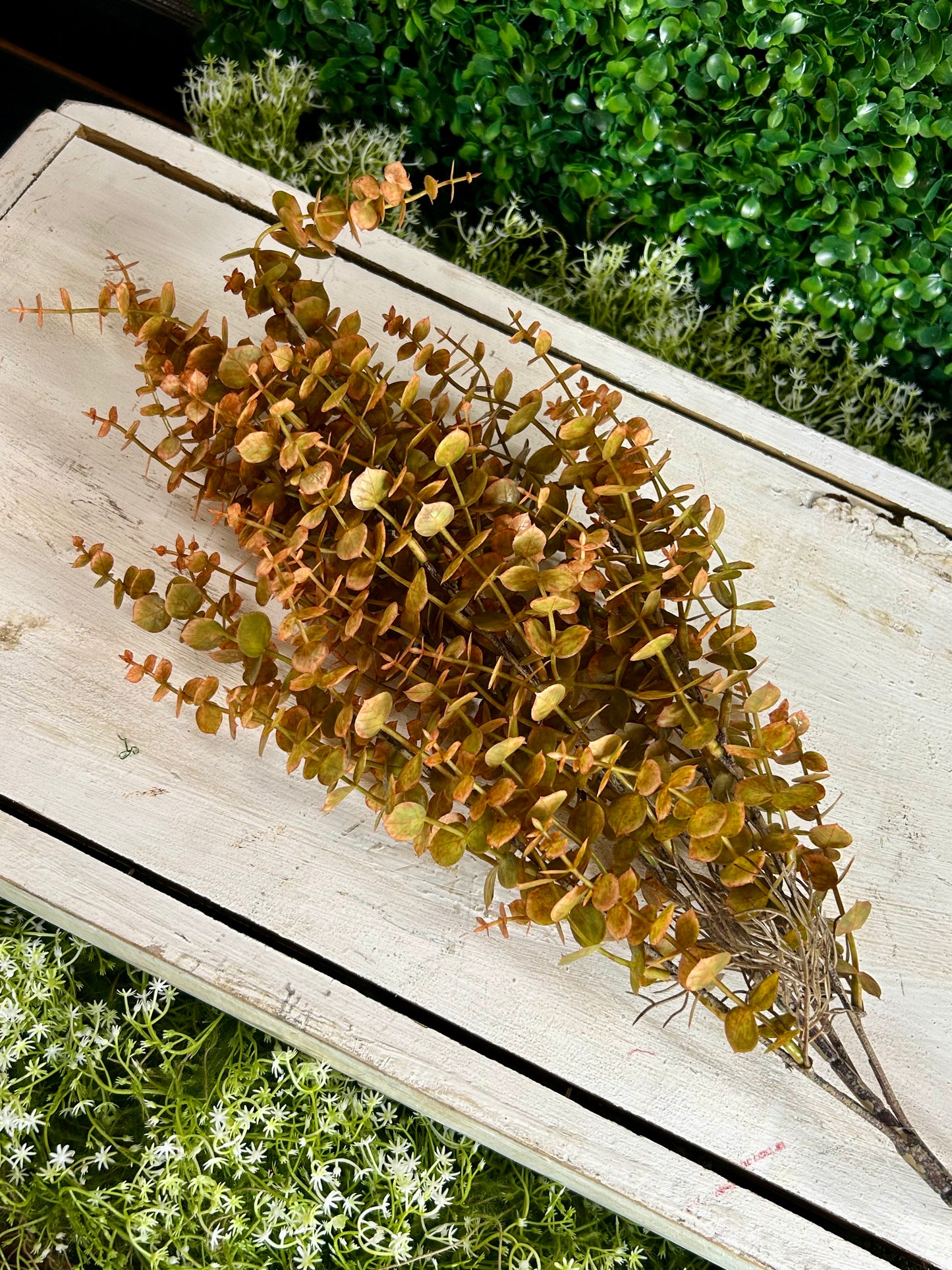 24 Inch Orange And Green Mini Eucalyptus Bush