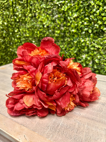 14 Inch Burgundy Peony Bush