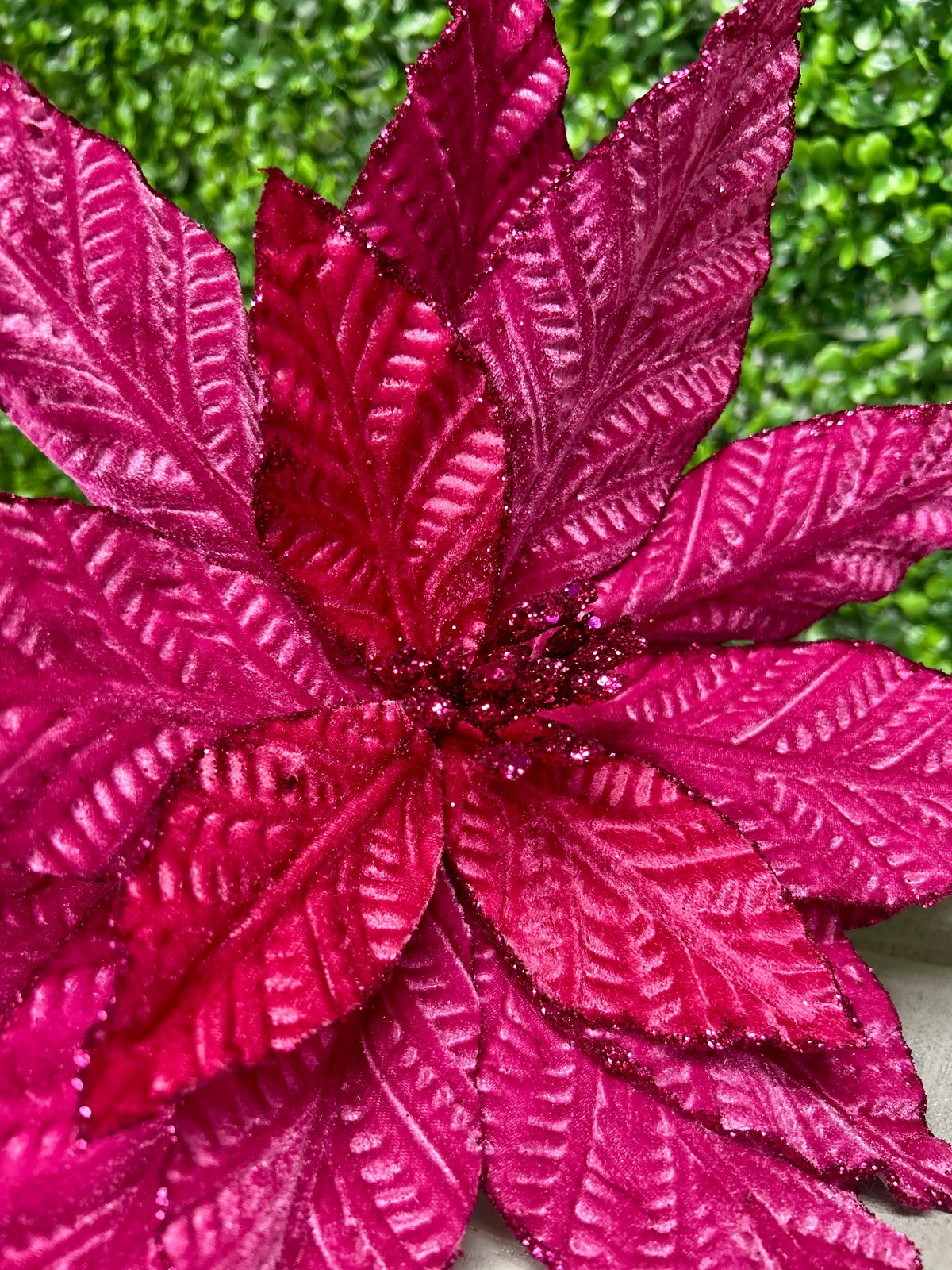 20.5 Inch Dark Pink Poinsettia Stem