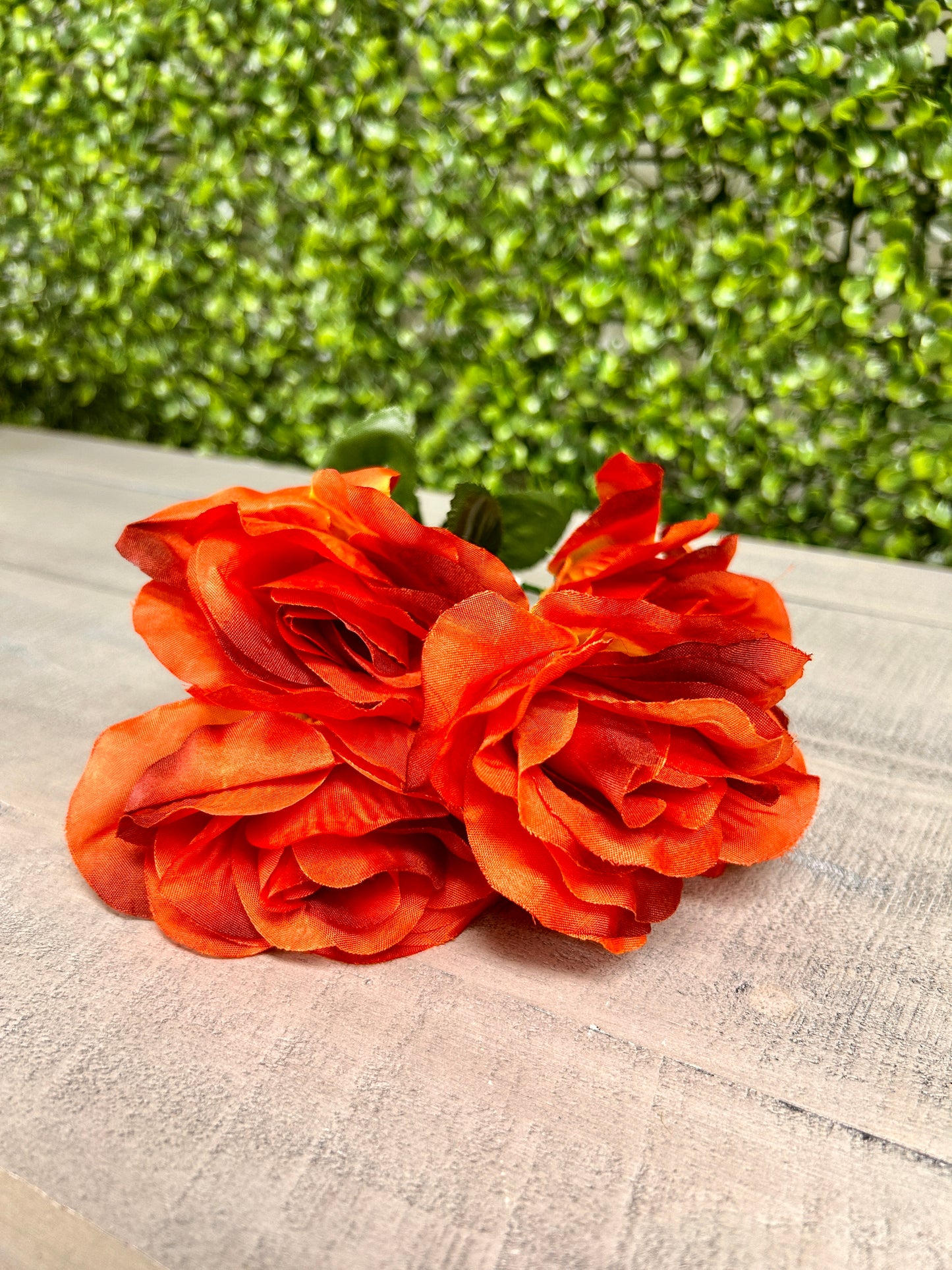 15 Inch Rust Rose Bush