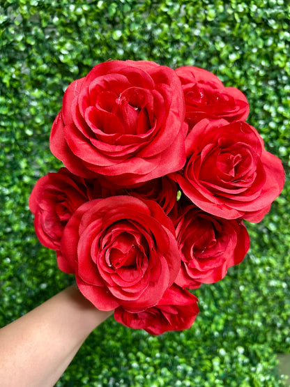 17 Inch Red Southern Rose Bush