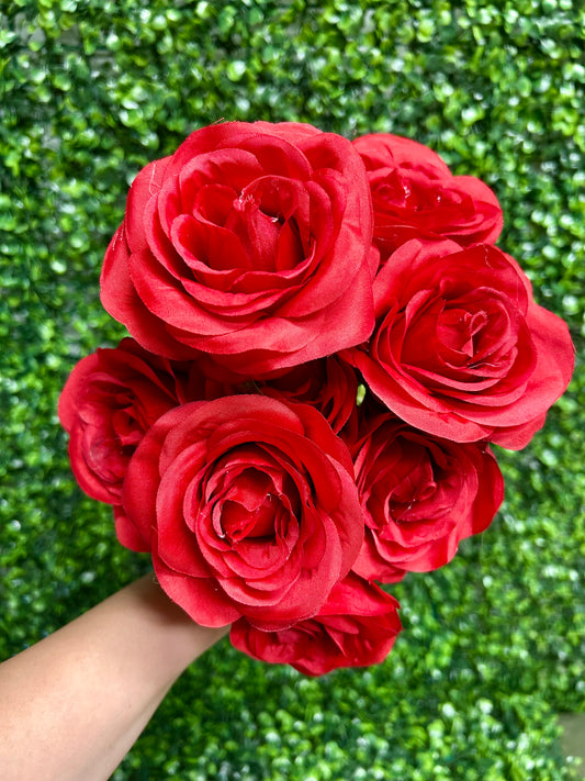 17 Inch Red Southern Rose Bush
