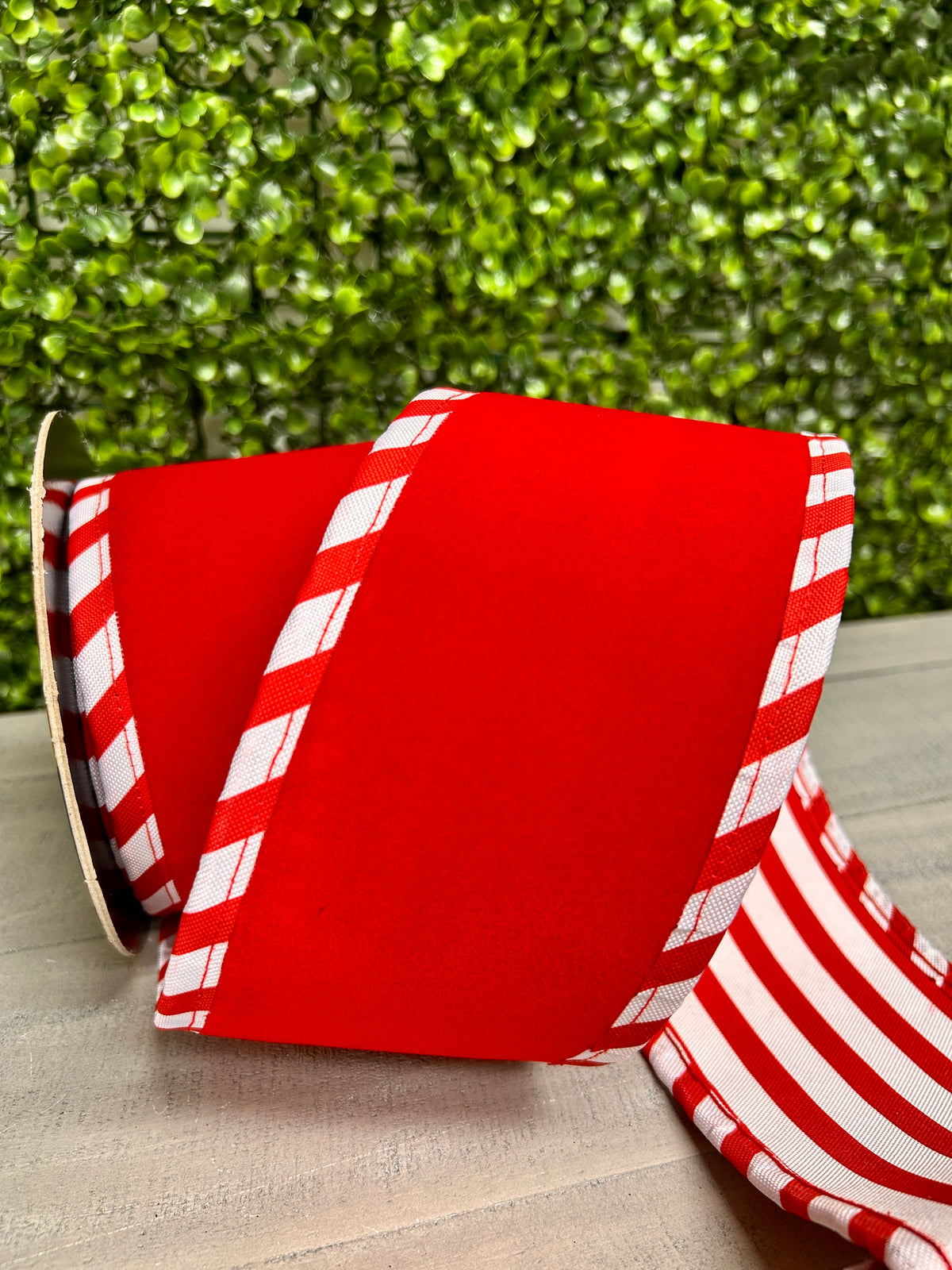 4 Inch By 5 Yard Red Velvet With White Red Cabana Sripe Ribbon
