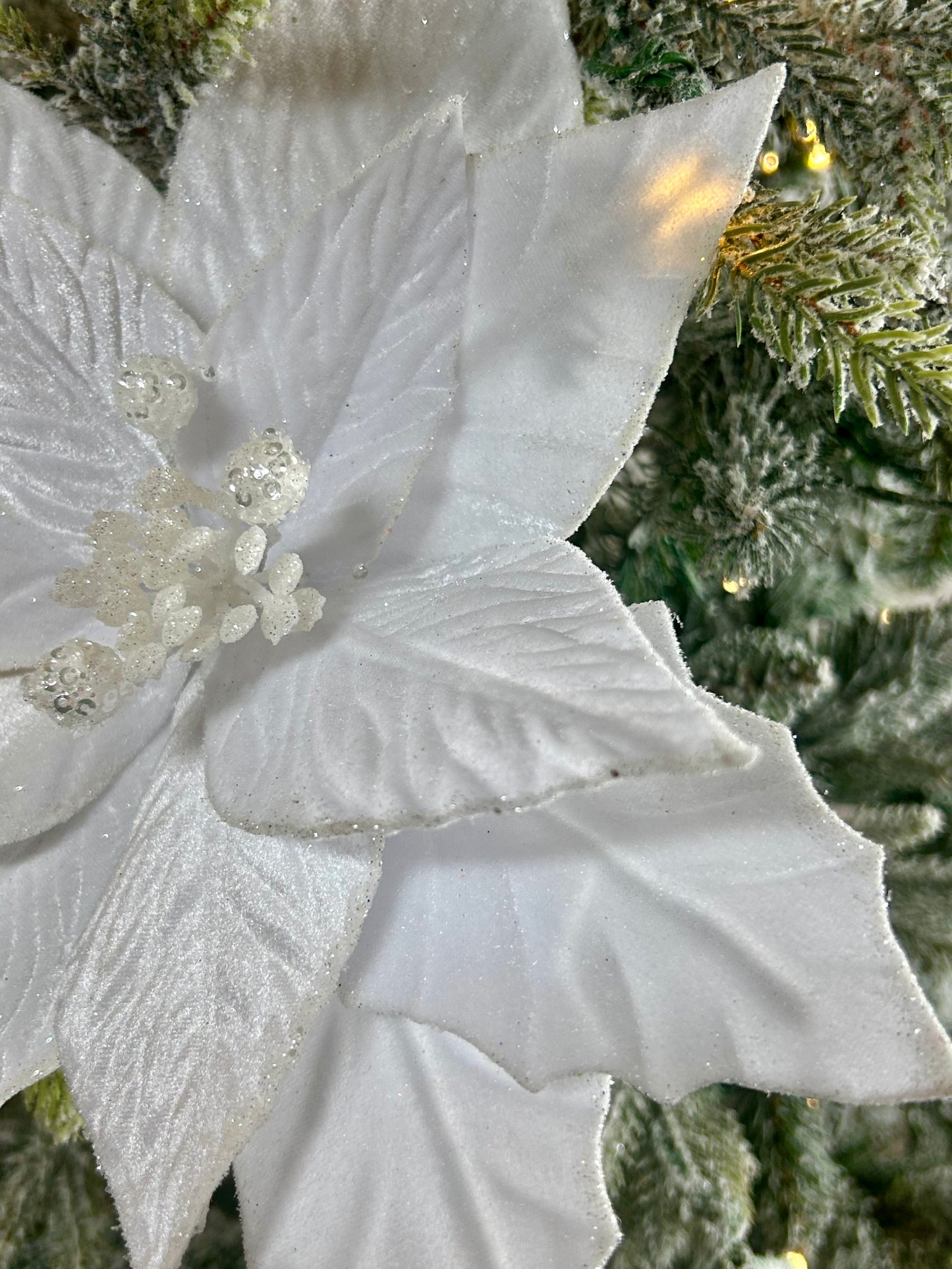 22 Inch White Velvet Poinsettia