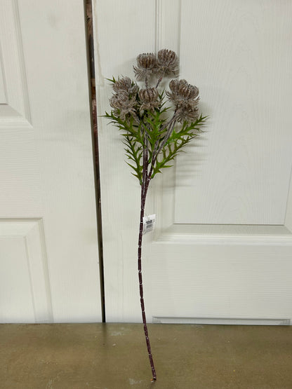 23 Inch Brown Thistle Leaf Spray