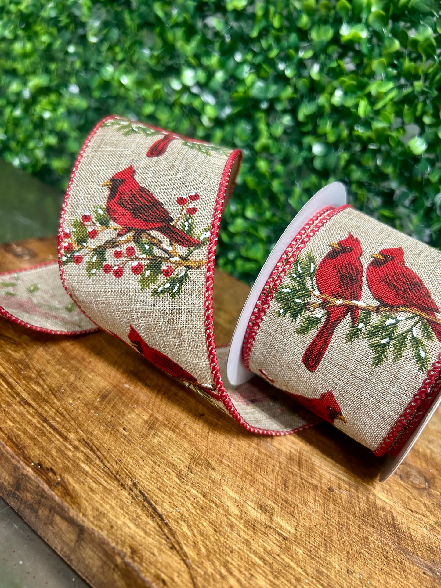 2.5 Inch By 10 Yard Cardinal On A Branch Ribbon