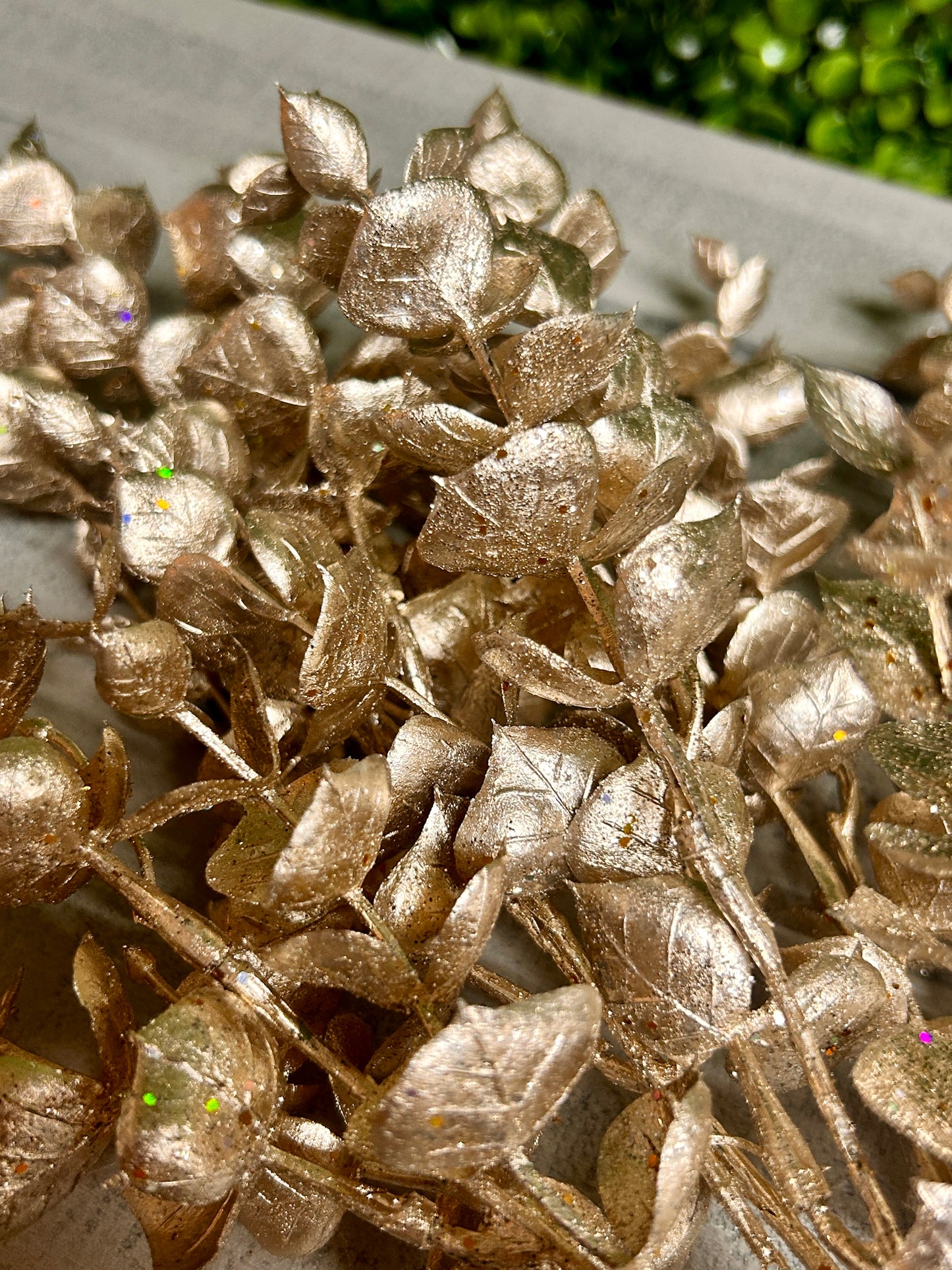 18 Inch Champagne Eucalyptus Bush