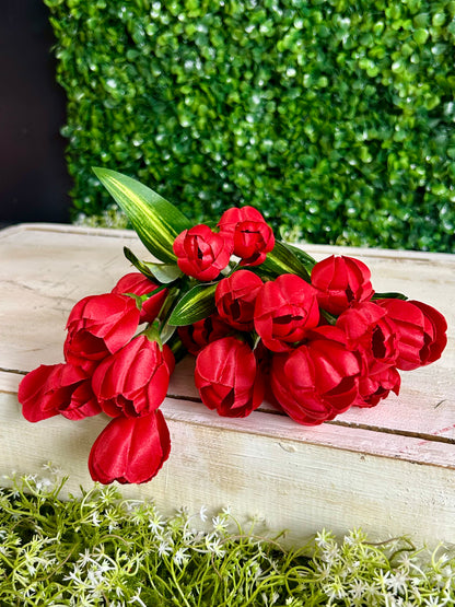 18.5 Inch Red Crocus Bush