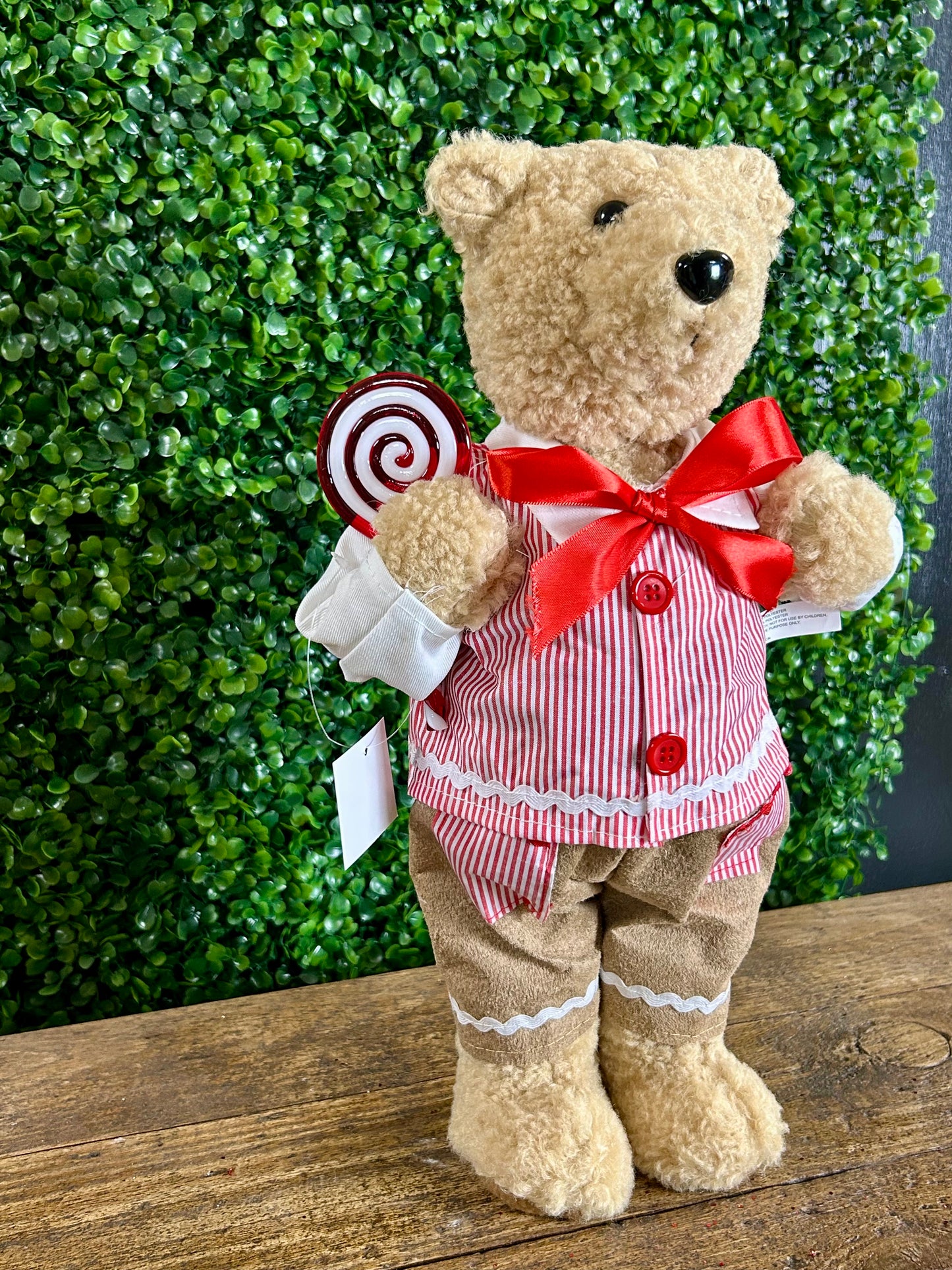 16 Inch Plush Sugar And Spice Bear