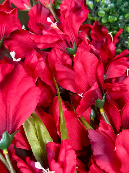 32 Inch Red Gladiolas Bush