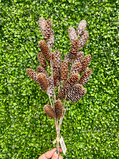 26 Inch Pinecone With Ice Bundle
