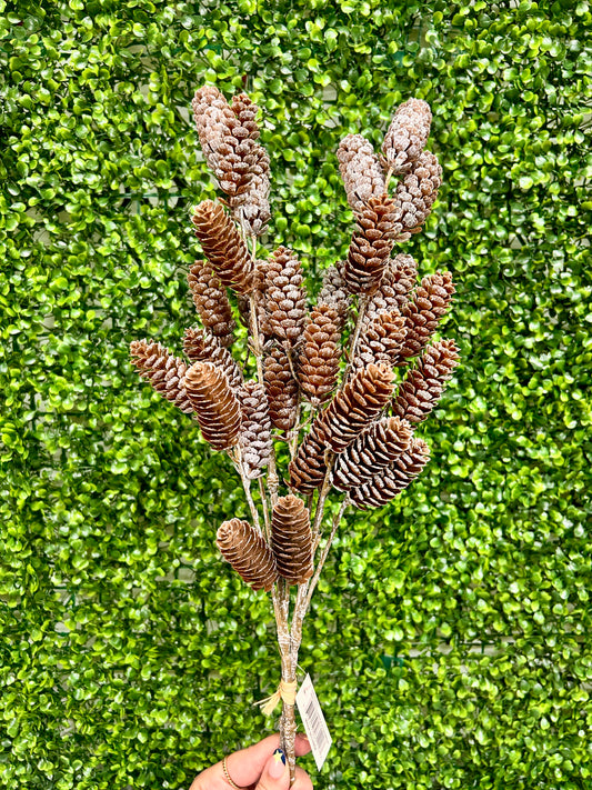 26 Inch Pinecone With Ice Bundle