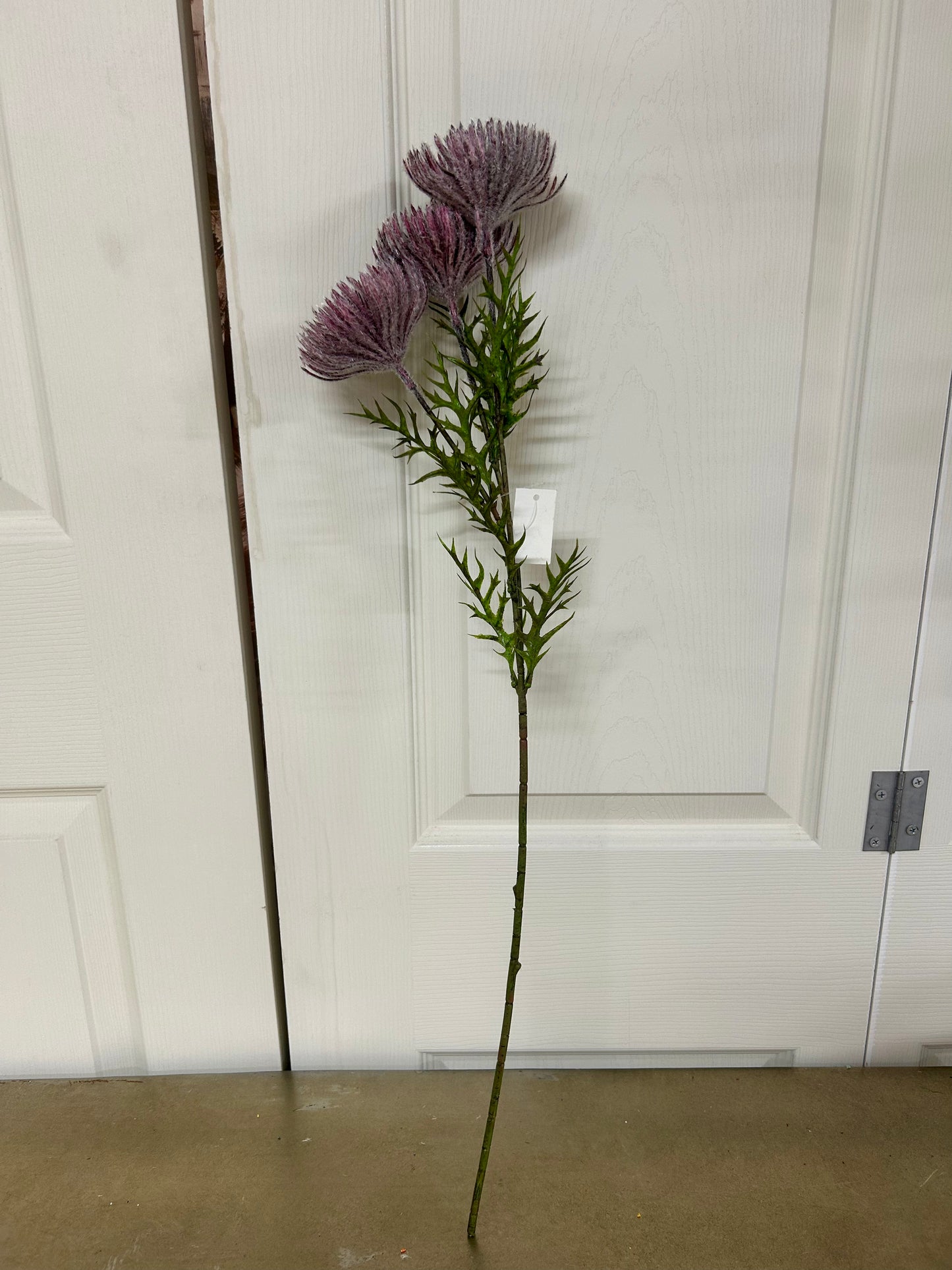 26 Inch Purple Pincushion Protea Spray