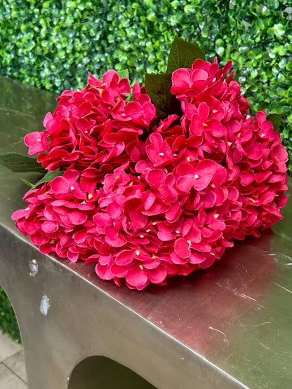 16 Inch Fuchsia Hydrangea Bush