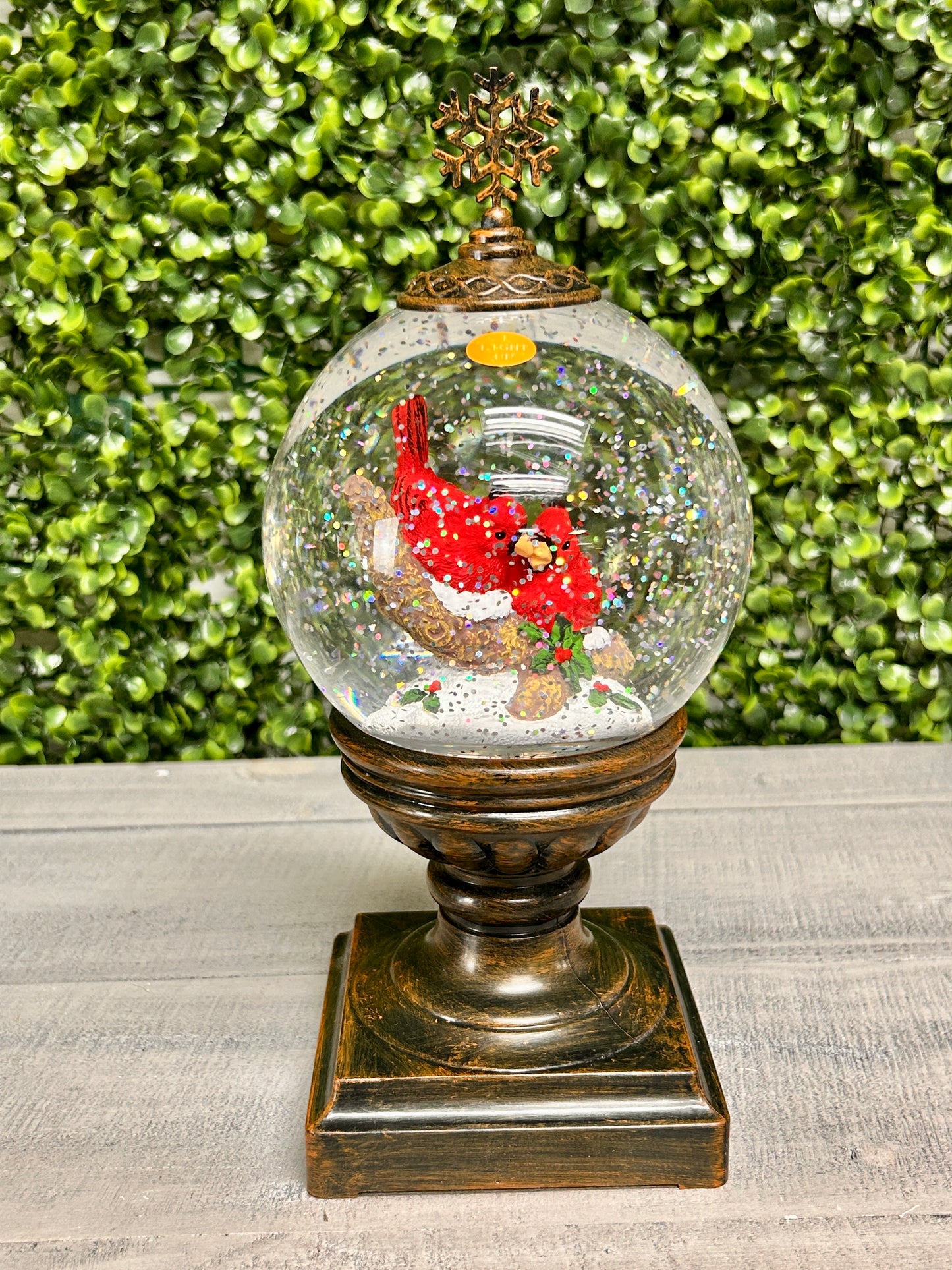 Acrylic Cardinal Globe On Stand With Sound Two Assorted