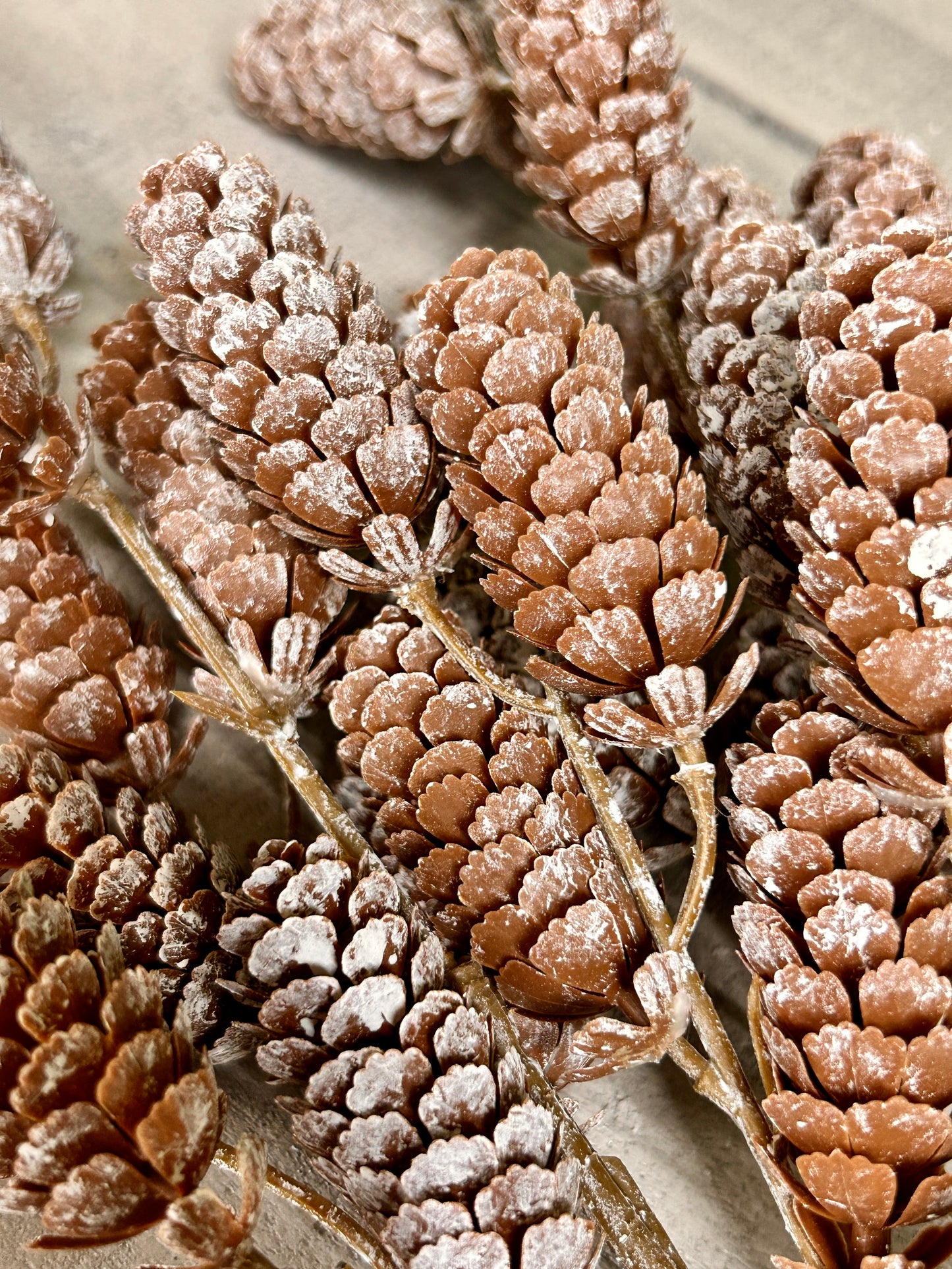 26 Inch Pinecone With Ice Bundle