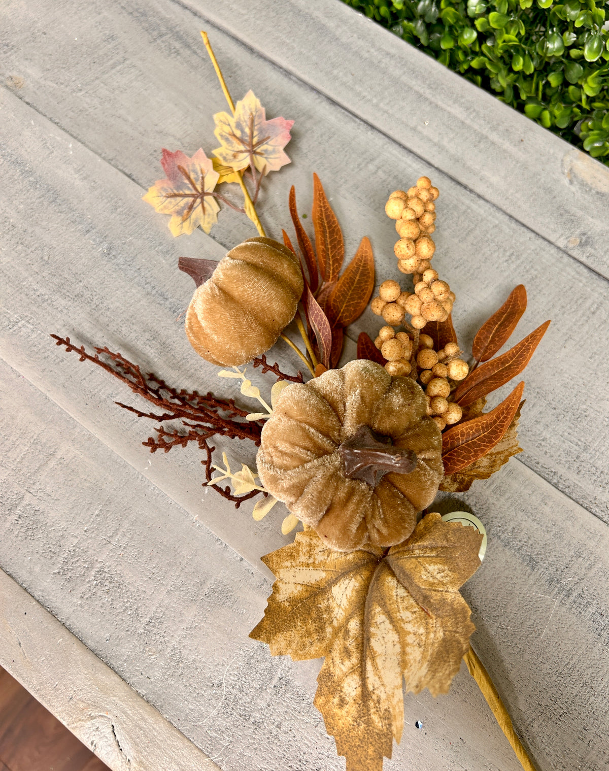 16 Inch Tan Velvet Pumpkin With Flocked Berry Fall Pick