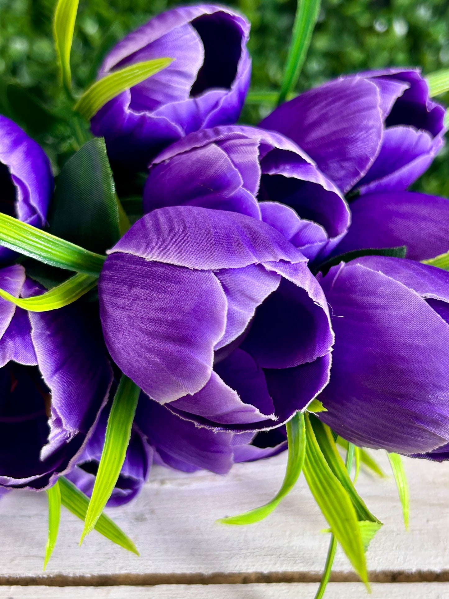 19 Inch Purple Tulip Bush