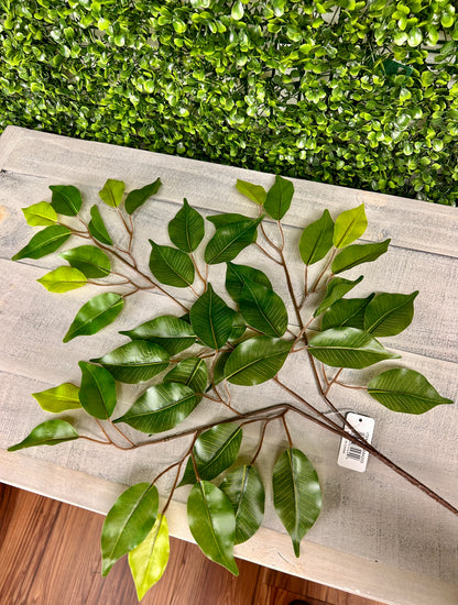 23.5 Inch Green Ficus Leaf Spray
