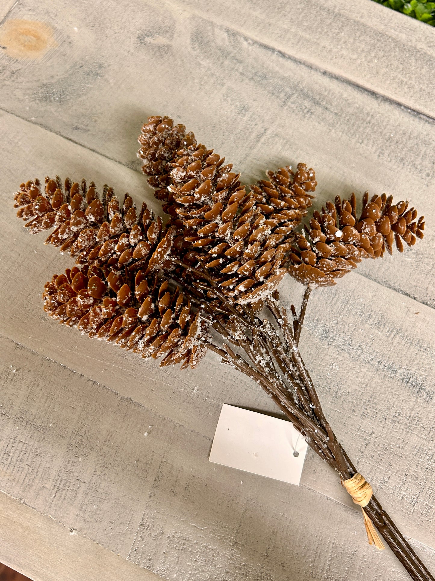 15 Inch Snow Pinecone Bundle
