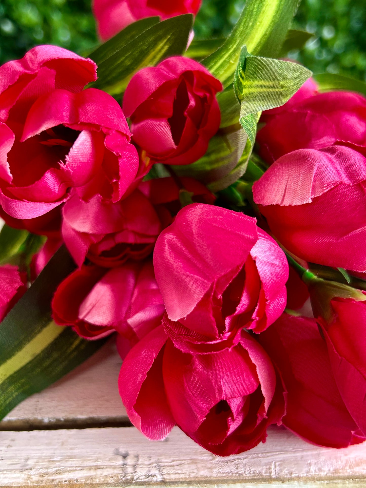 18.5 Inch Fuchsia Crocus Bush