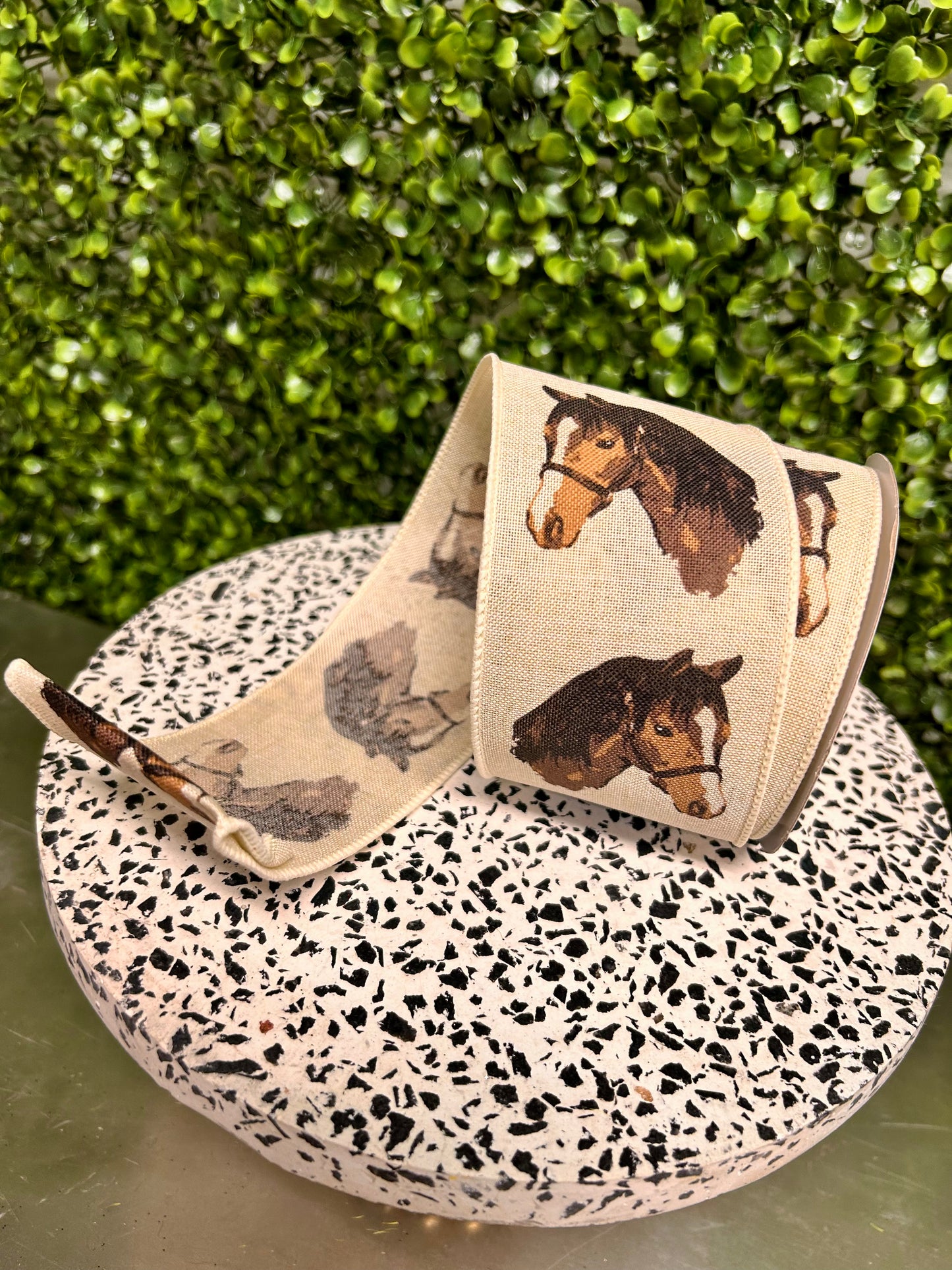 2.5 Inch By 10 Yard Cream And Brown Horse Head On Royal Ribbon