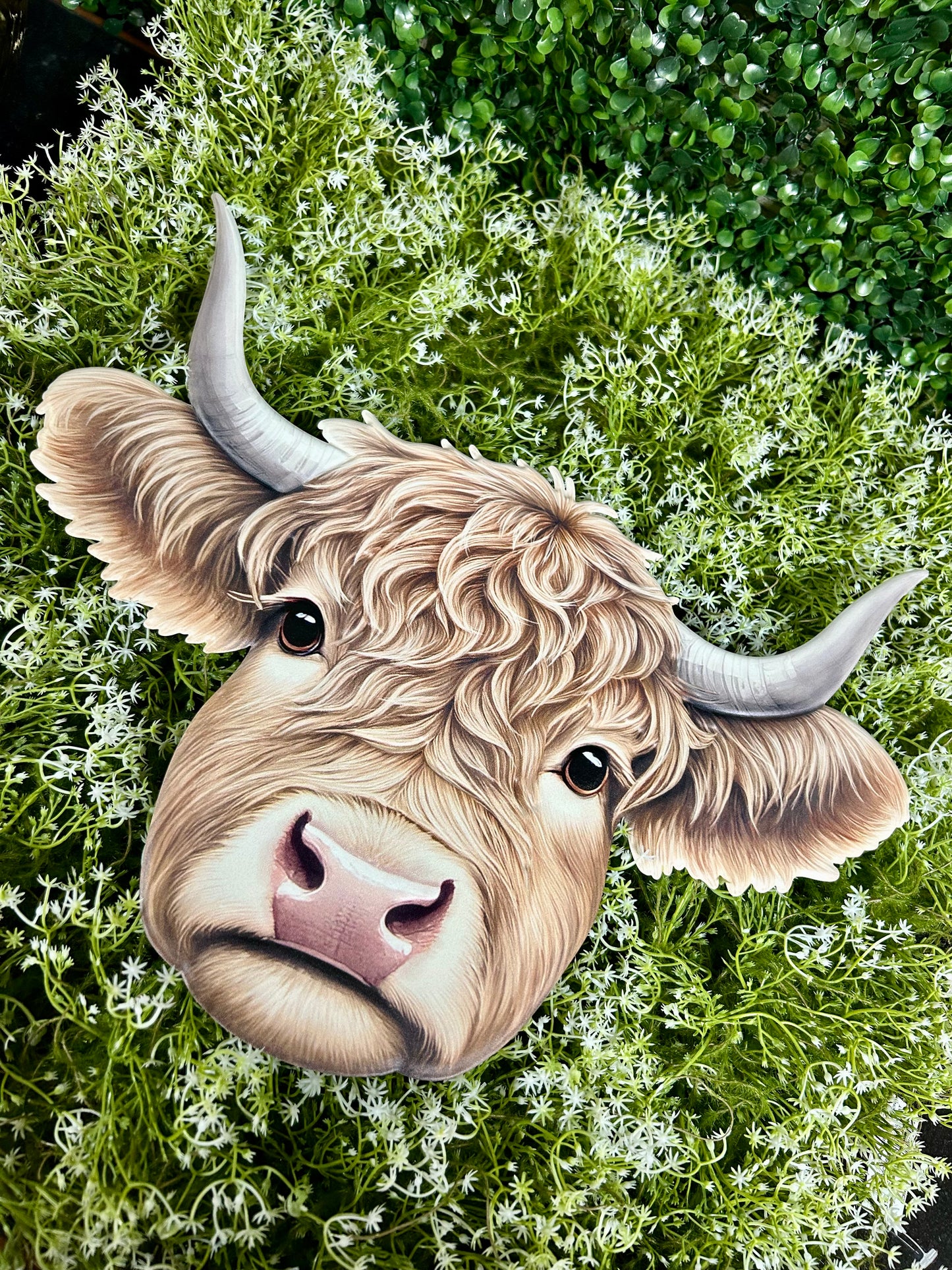 15.5 Inch Highland Cow Sign