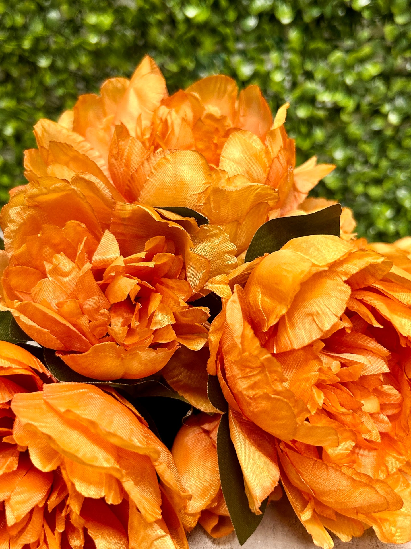 14 Inch Orange Peony Bush