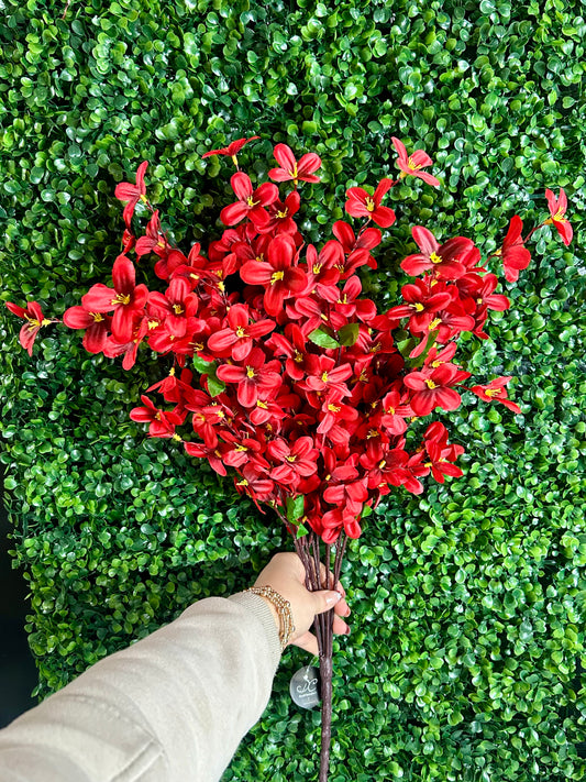 24 Inch Red Tweedia Bush