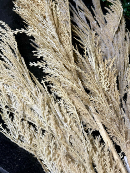 63 Inch Biege Pampas Grass Plume Spray
