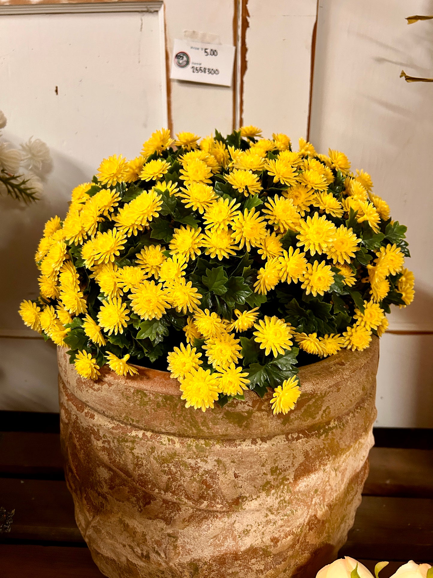 16 Inch Yellow Mum Stake Bush