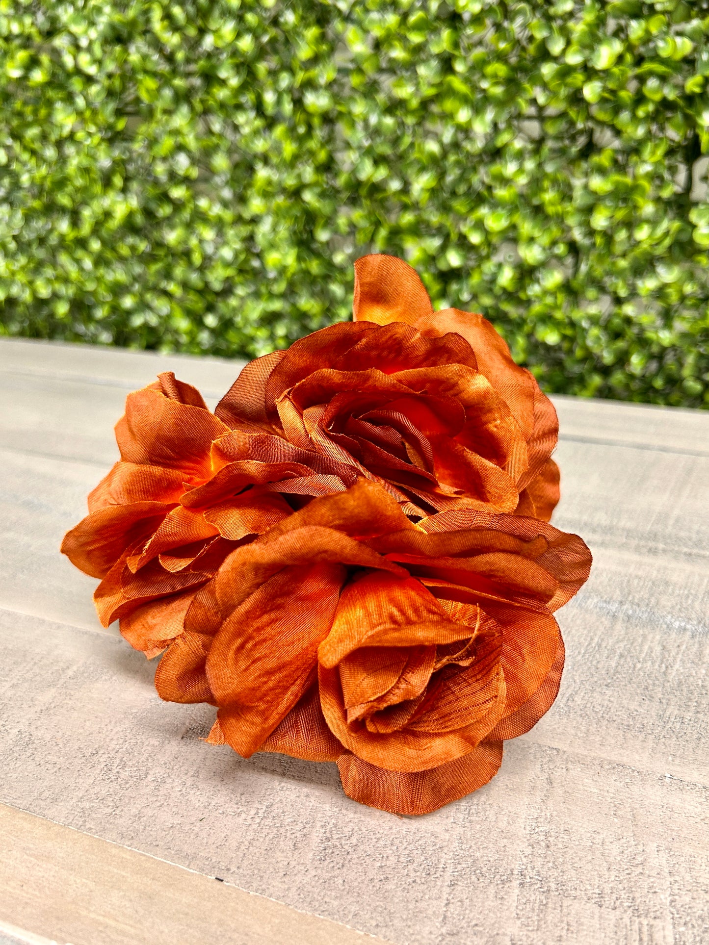 15 Inch Brown Rose Bush