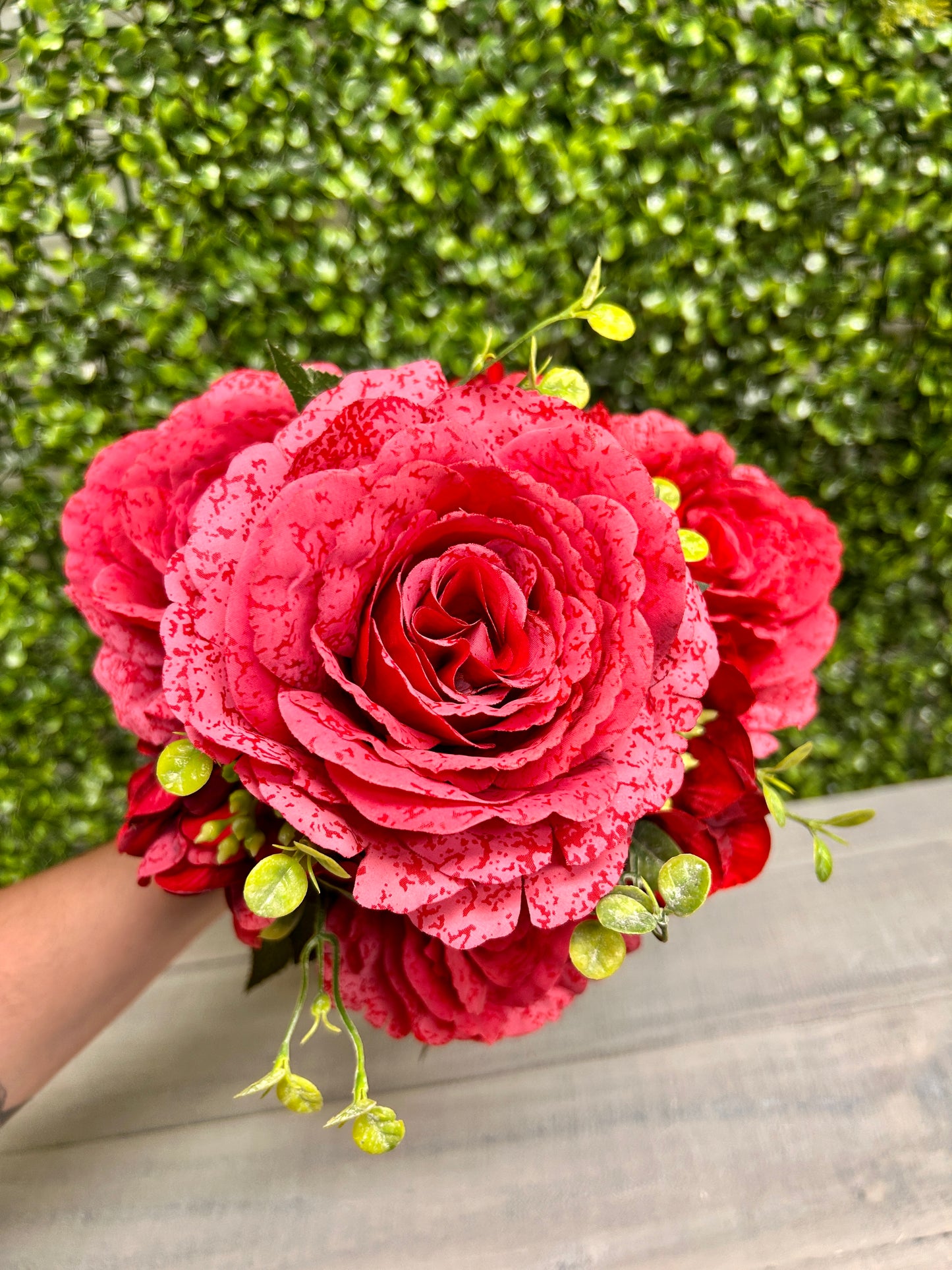 18 Inch Red Rose Hydrangea Bush